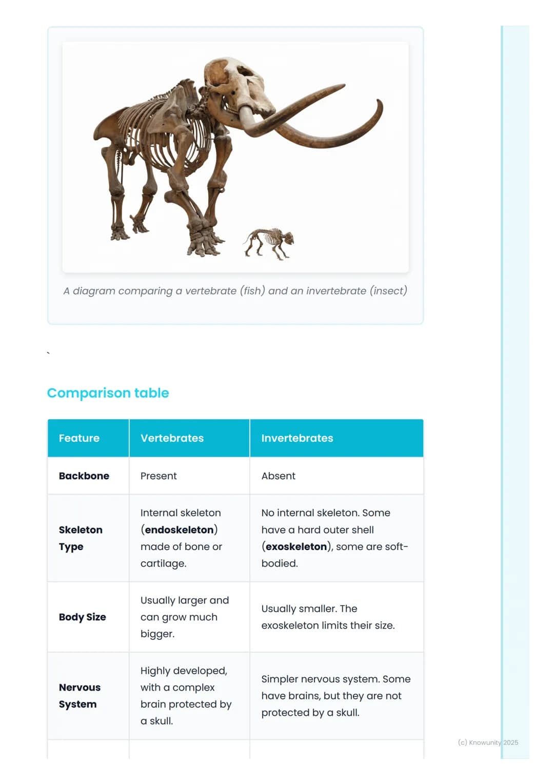 # Vertebrates and
Invertebrates
Introduction to animal classification
All living things are sorted into groups to make them easier to stud